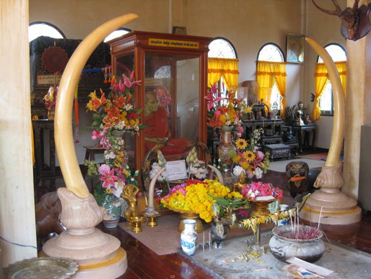 บางสะพาน 