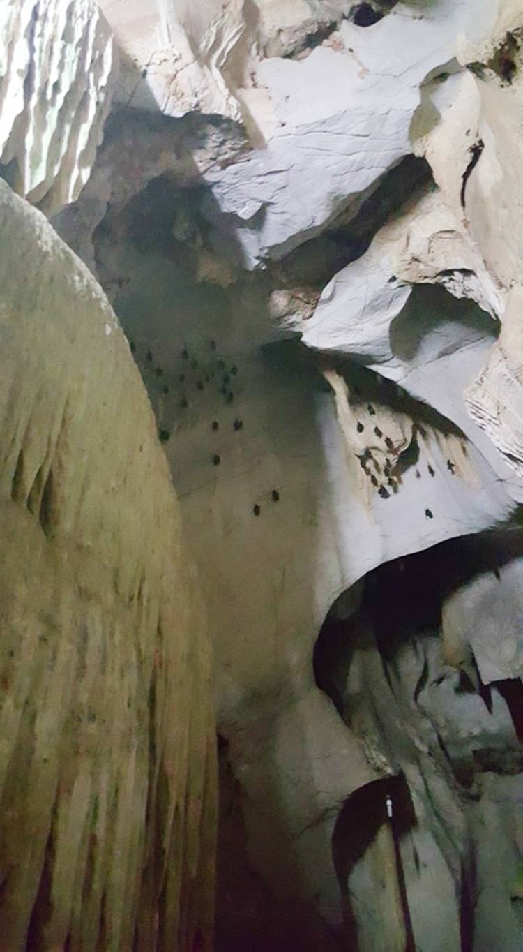 บางสะพาน 