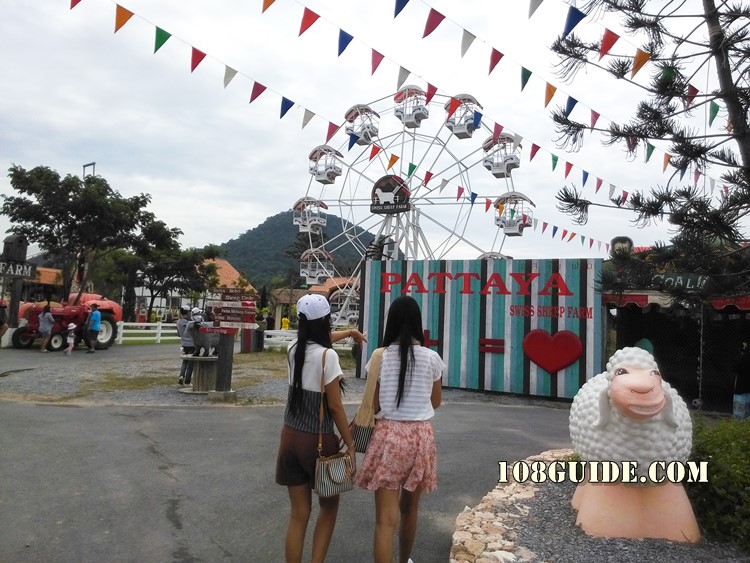 Swiss sheep farm Pattaya 