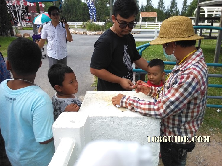 Swiss sheep farm Pattaya 