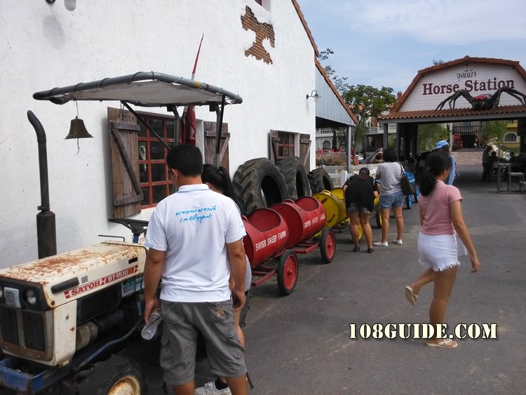 Swiss sheep farm Pattaya 