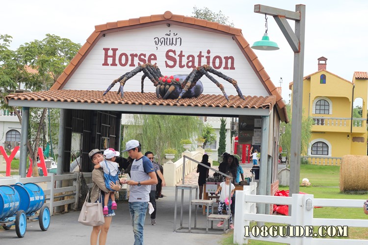 Swiss sheep farm Pattaya 