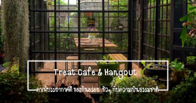 Treat Cafe & Hang Out